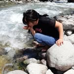 Status Denta логотип